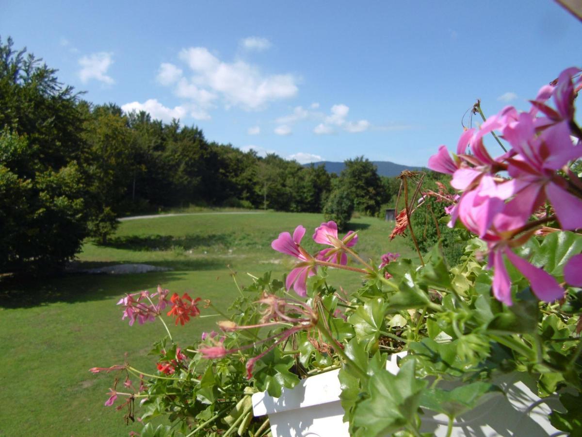 House Biba & Leona Bed & Breakfast Rastovača Екстериор снимка